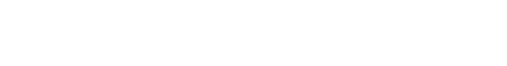 SaturnAI